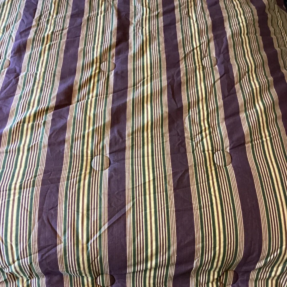 NEW! WAVERLY SWEETWATER FLORAL STRIPED REVERSIBLE TWIN COMFORTER COTTAGE CLASSIC